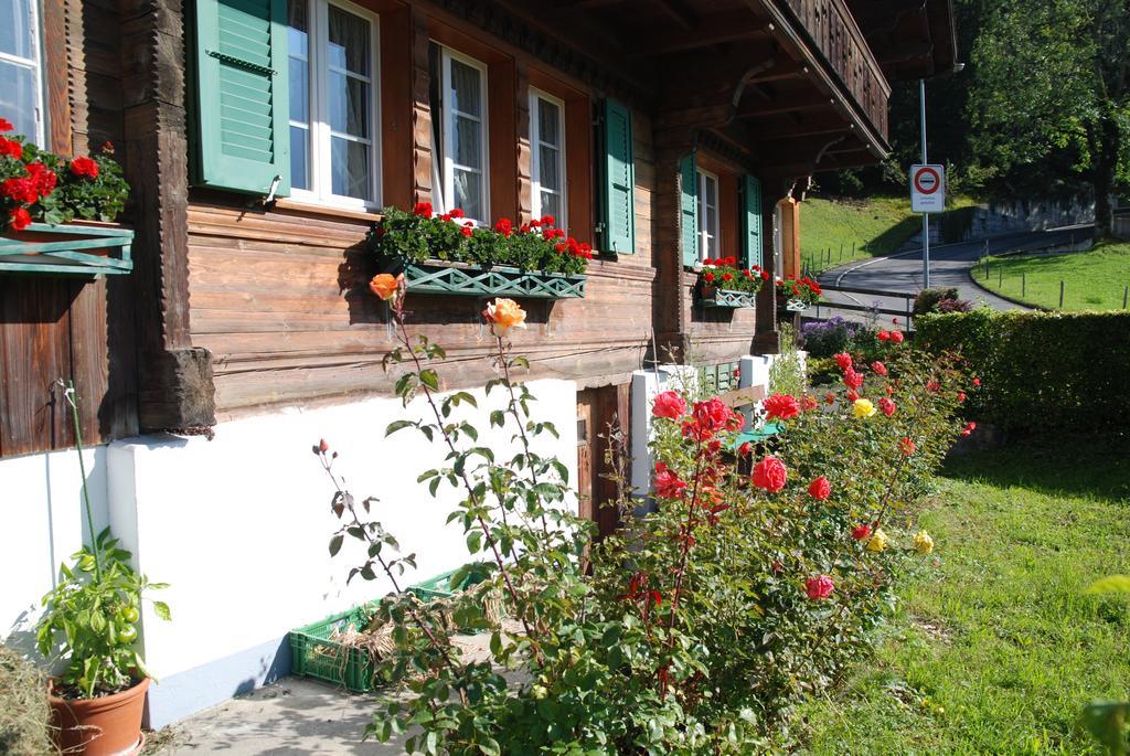 Апартаменты Chalet Tuftbach Гриндельвальд Экстерьер фото